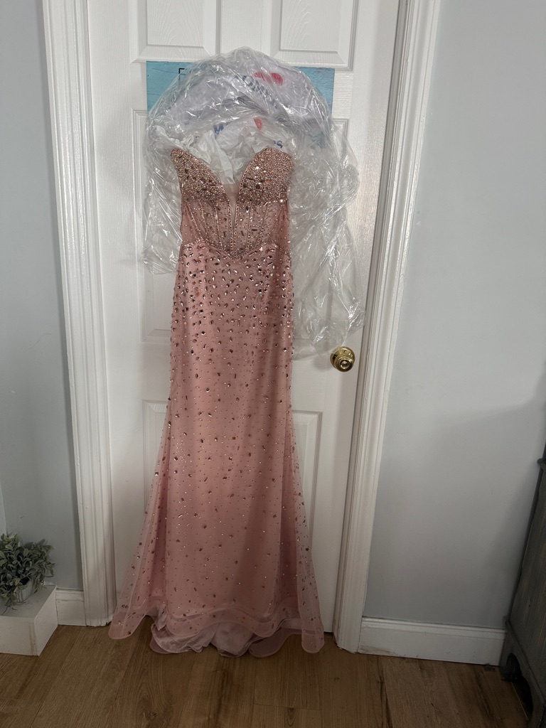 Blush Pink Strapless Beaded Evening Gown